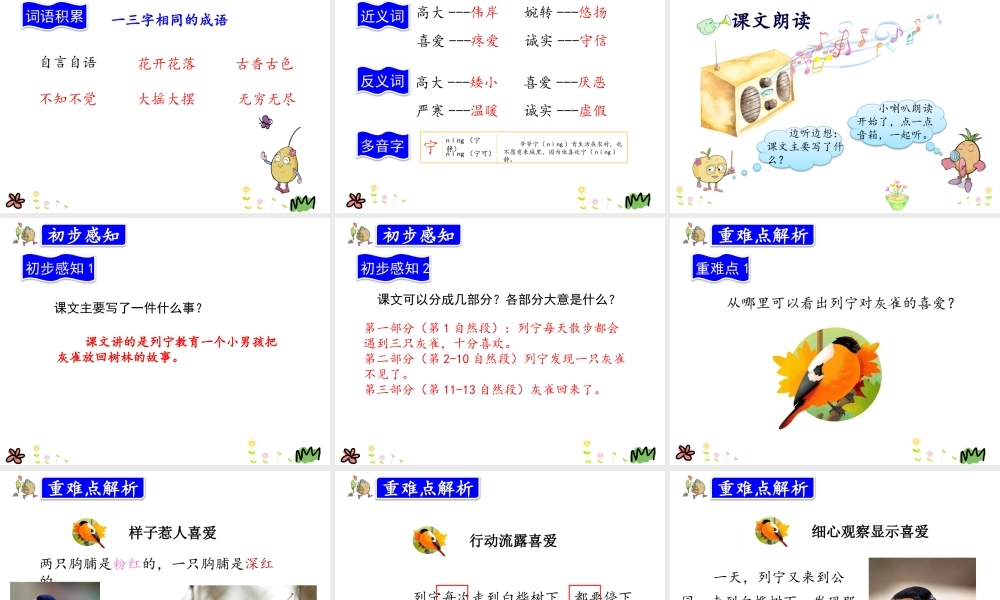 26.灰雀_20190723_235237.pptx