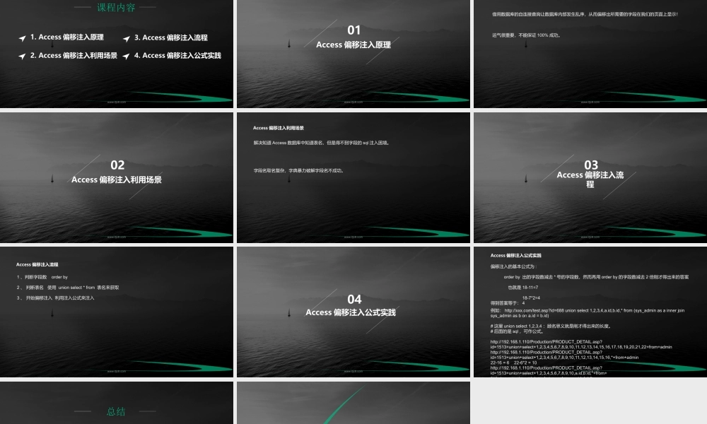 Access偏移注入利用-01.pptx