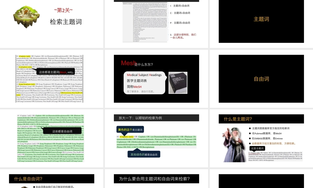 No.04 检索主题词.pptx