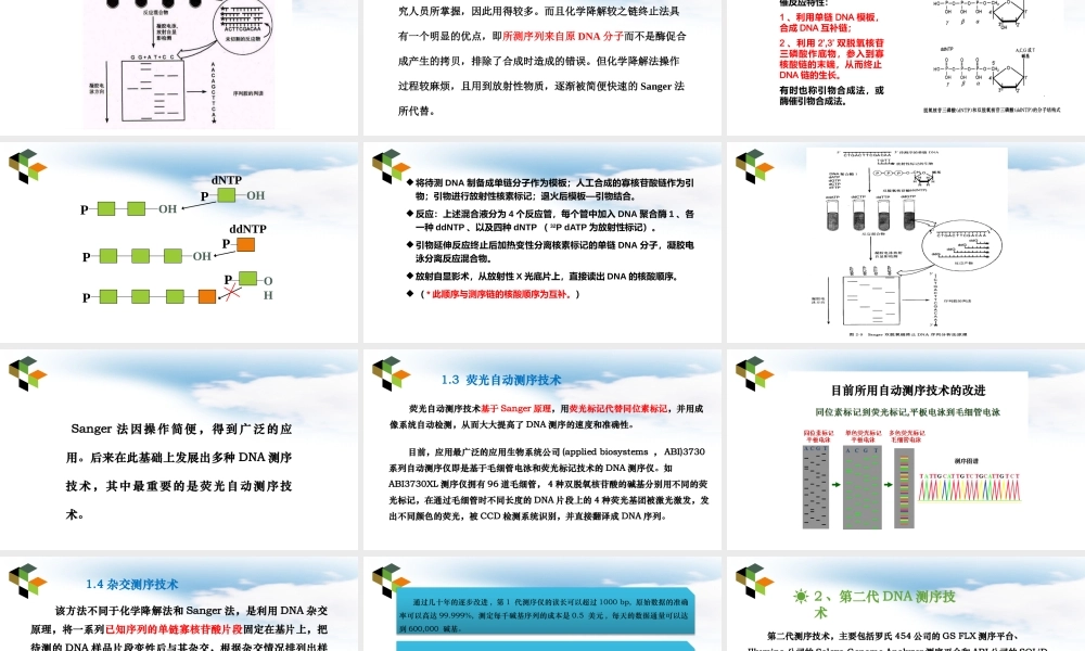 DNA序列分析.pptx