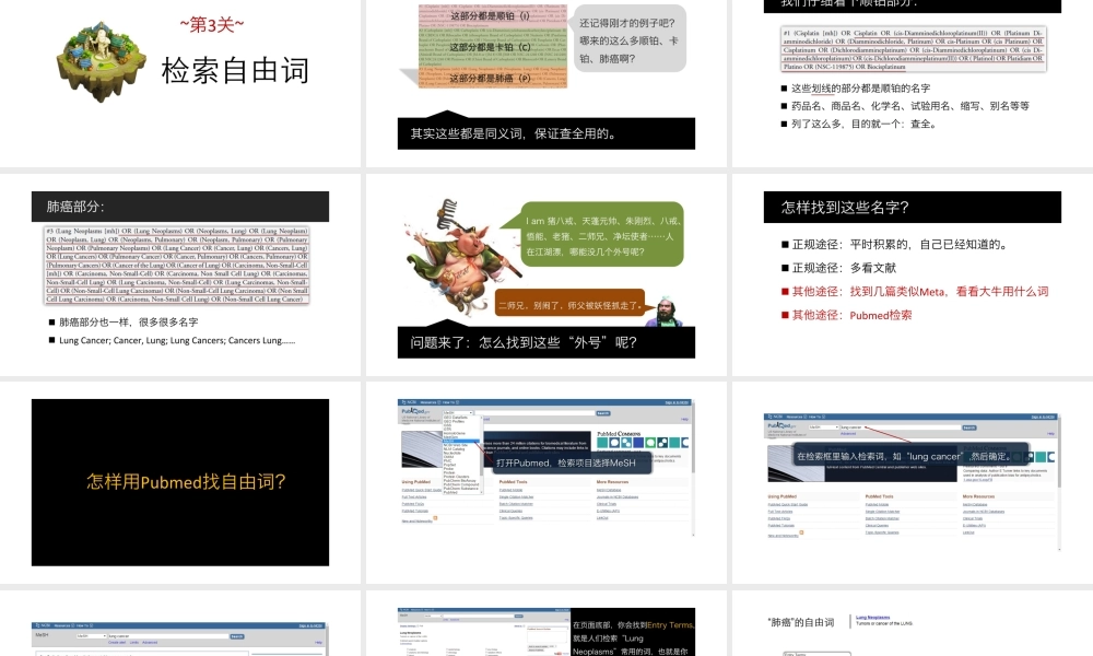 No.05 检索自由词.pptx