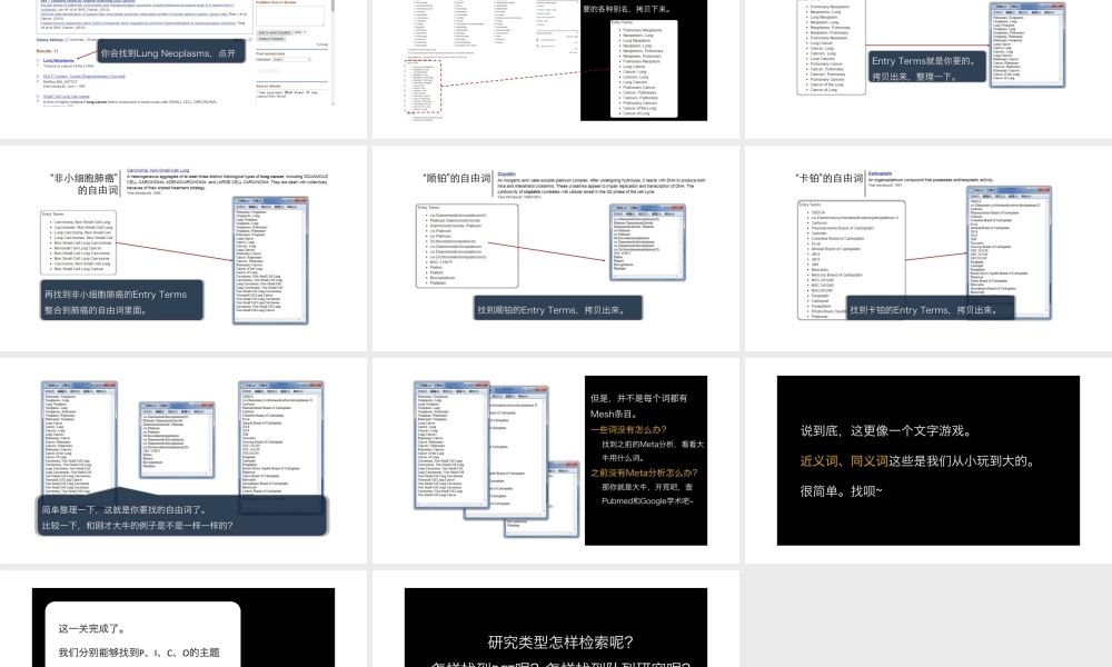 No.05 检索自由词.pptx