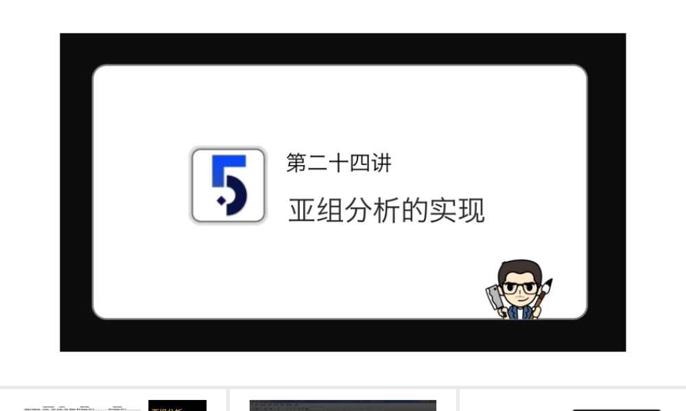 No.24 亚组分析的实现.pptx