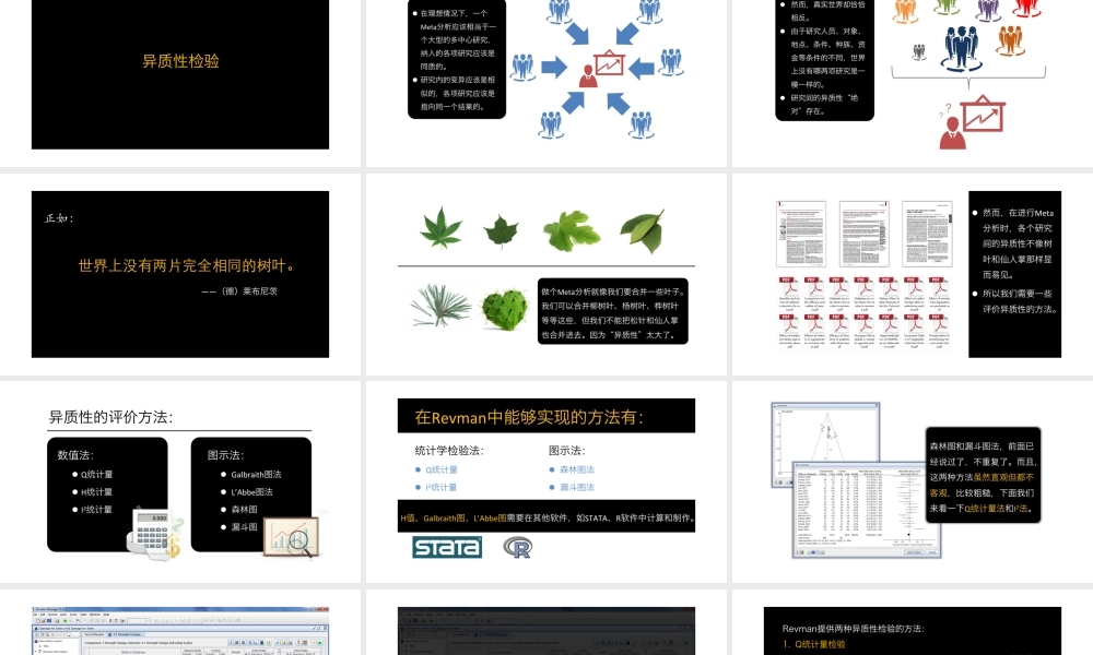 No.23 异质性检验.pptx