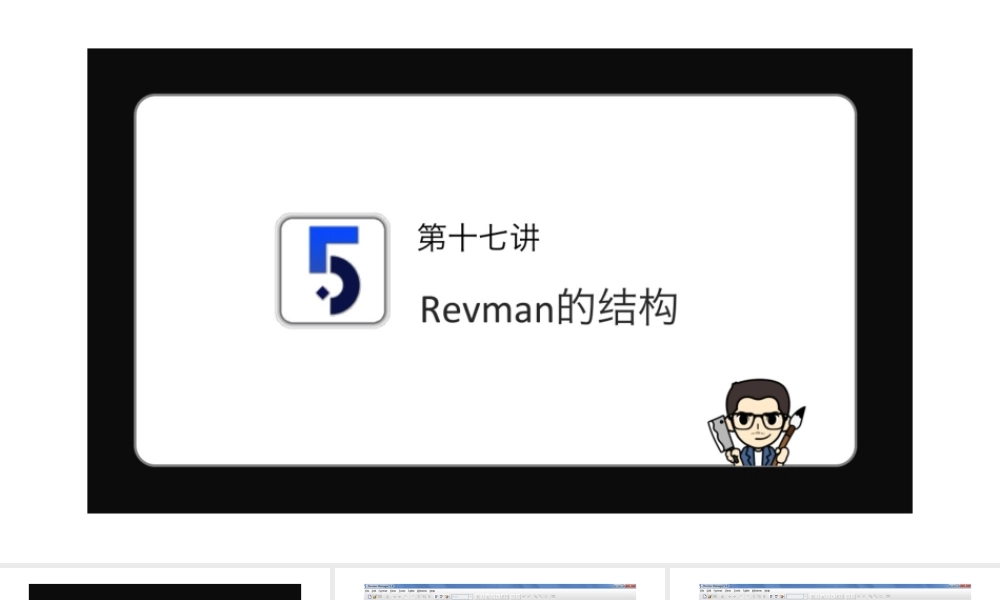 No.17 Revman的结构.pptx