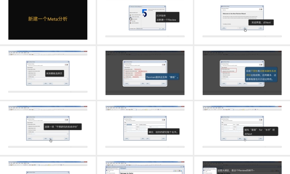 No.17 Revman的结构.pptx
