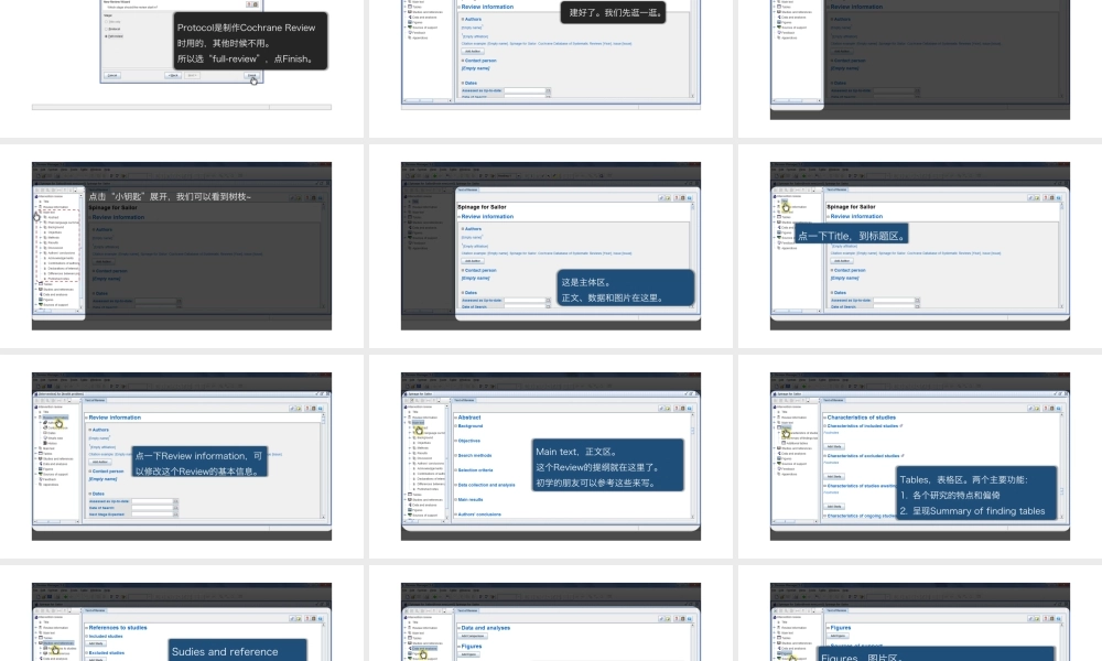 No.17 Revman的结构.pptx