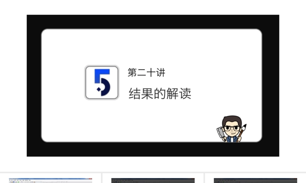 No.20 结果的解读.pptx