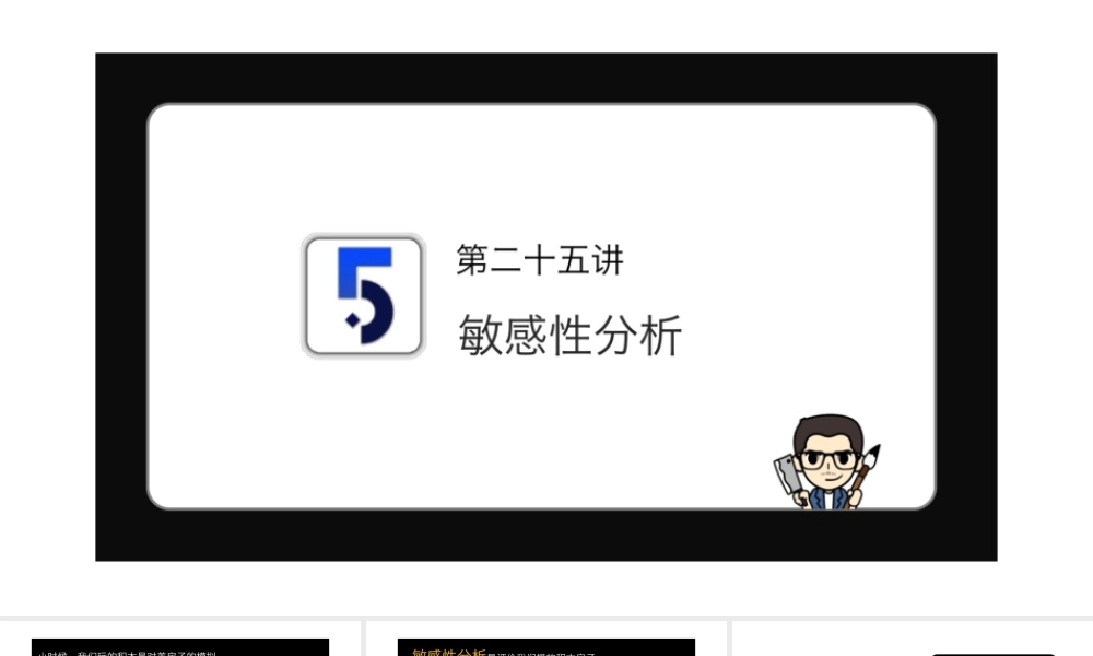 No.25 敏感性分析.pptx