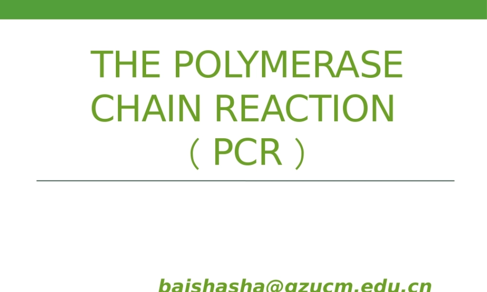 PCR 技术.pptx