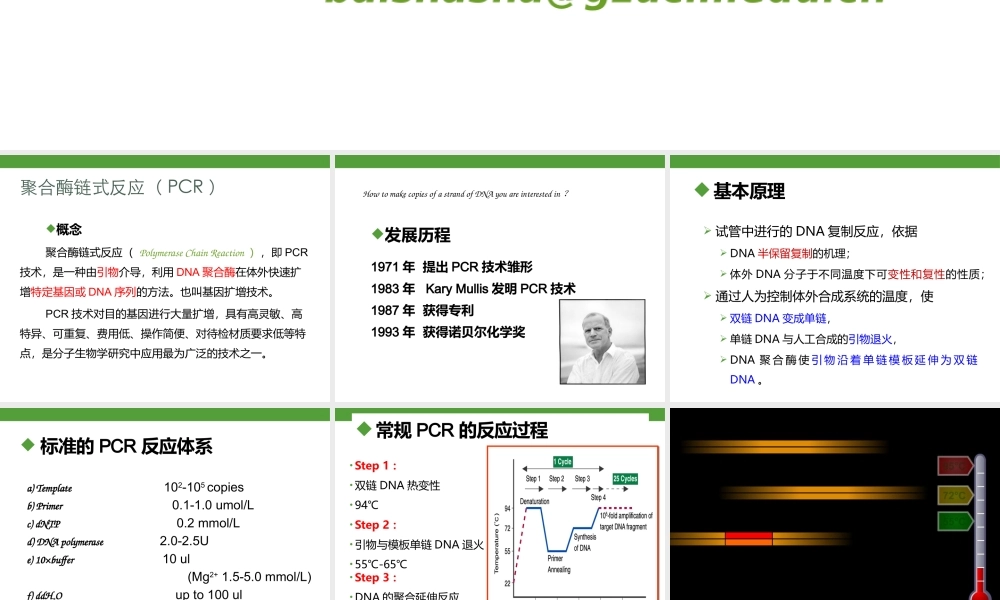 PCR 技术.pptx