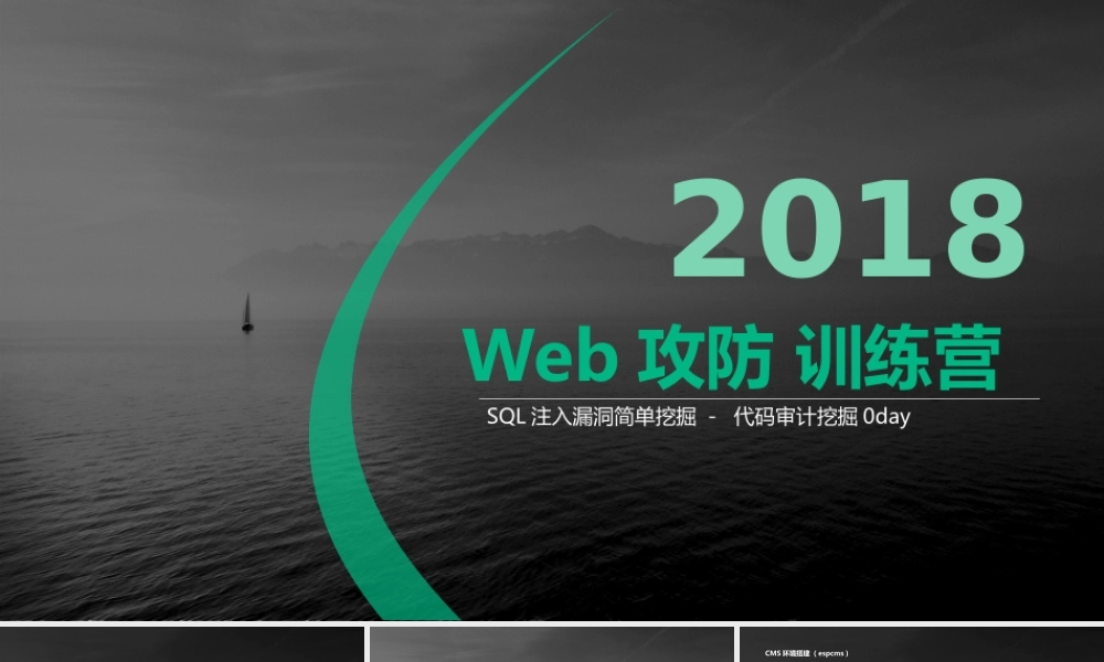 SQL注入漏洞简单挖掘-01.pptx