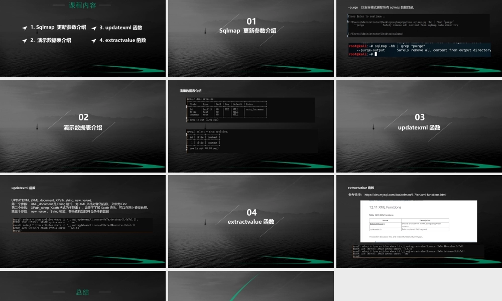 SQL注入 报错（updatexml与extractvalue函数介绍）-01.pptx