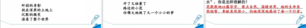 部编版人教版六年级语文上册《期末复习—阅读专项》课件.pptx