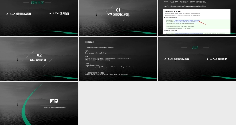 XXE - 防御策略-01.pptx