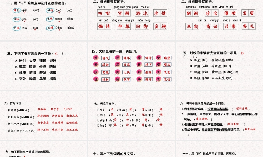 部编版五年级语文上册期末专项复习课件.pptx