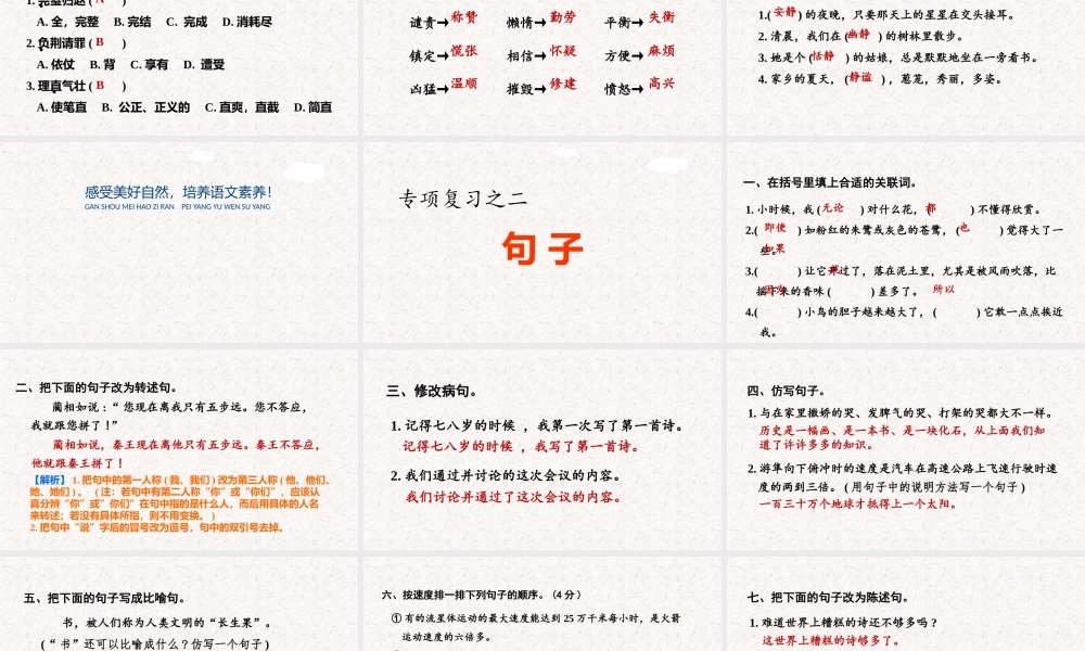 部编版五年级语文上册期末专项复习课件.pptx