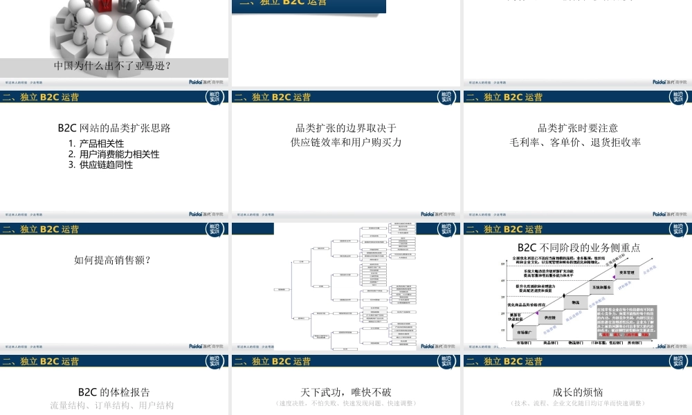 大话独立B2C@徐雷616-3.pptx