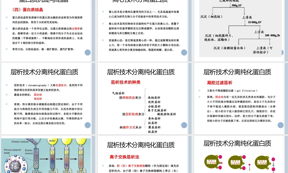 蛋白质分析技术2017-10-20.pptx