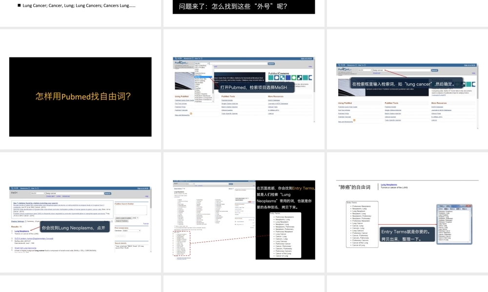 第5讲 检索自由词.pptx