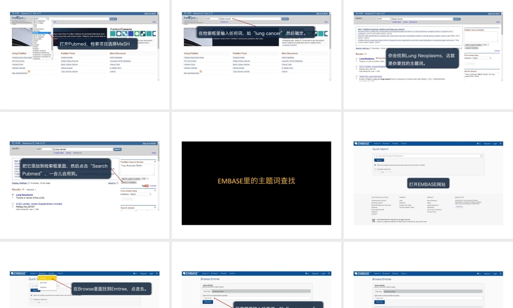 第4讲 检索主题词.pptx