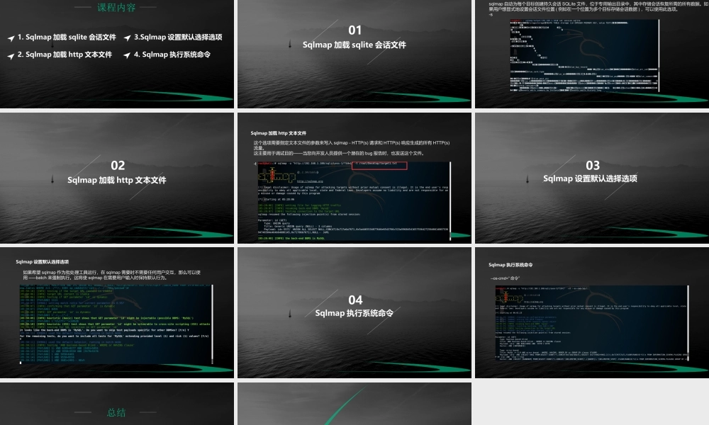第二十一节 Sqlmap通用参数1-01.pptx