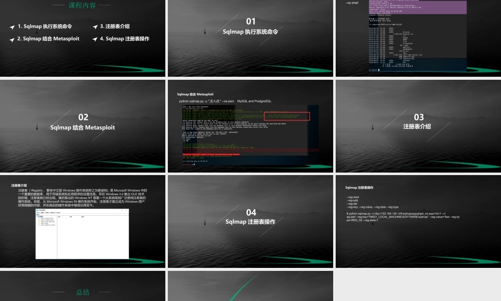 第二十节 Sqlmap系统参数-01.pptx