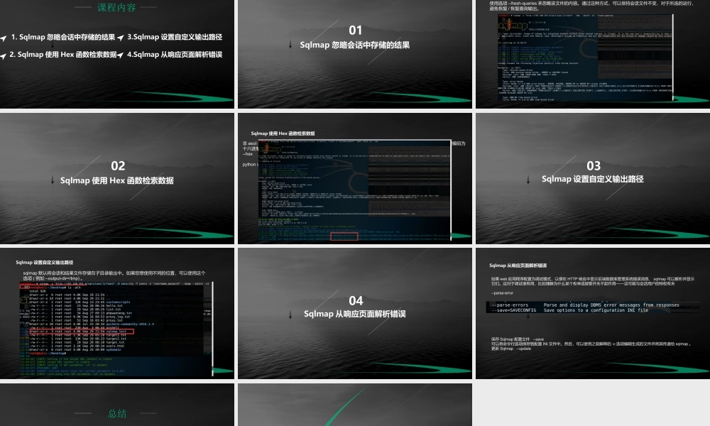 第二十四节 Sqlmap通用参数4-01.pptx