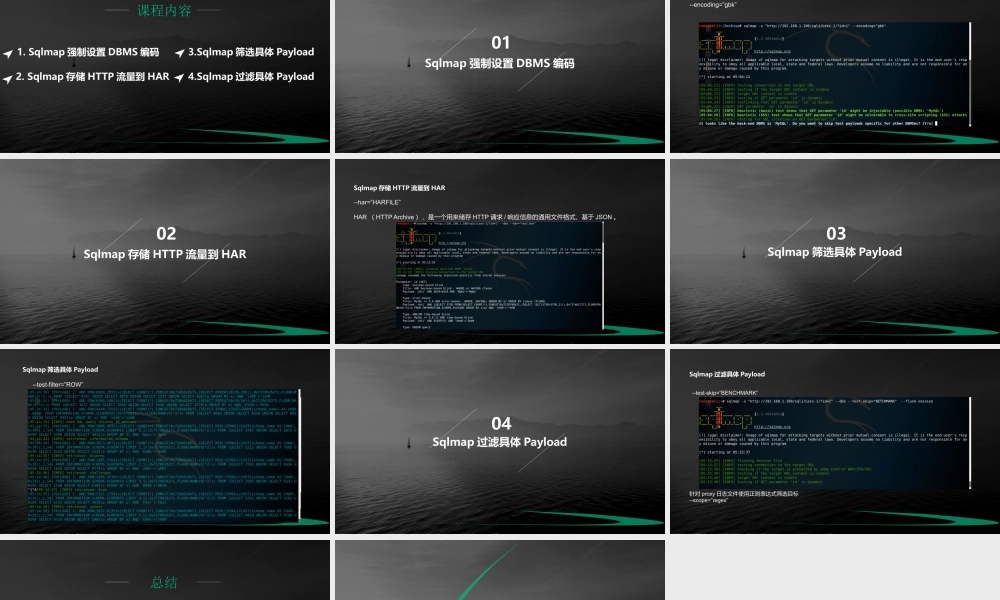 第二十五节 Sqlmap通用参数5-01.pptx