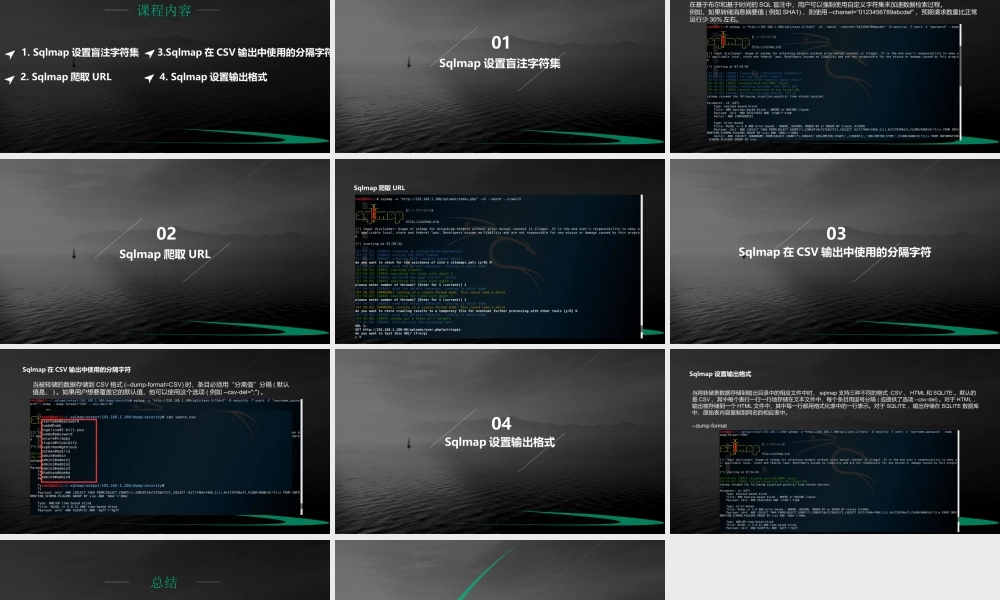 第二十二节 Sqlmap通用参数2-01.pptx