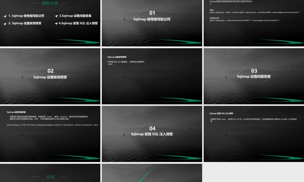第二十六节 Sqlmap杂项参数-01.pptx