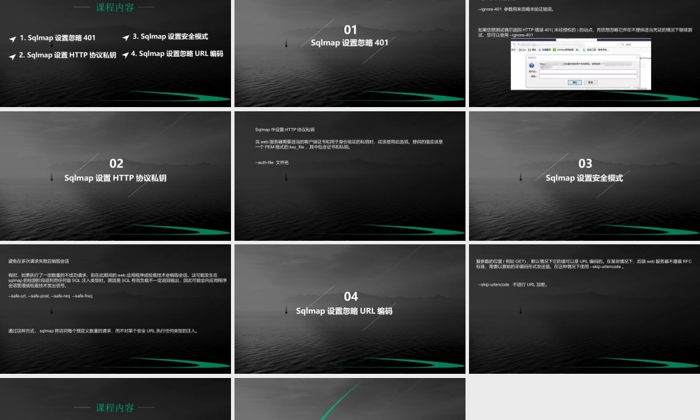 第七节 Sqlmap 请求参数设置5-01.pptx