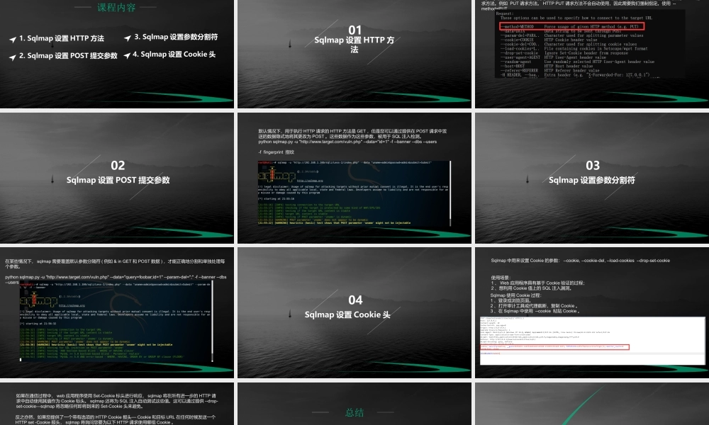 第三节 Sqlmap 请求参数设置-01.pptx