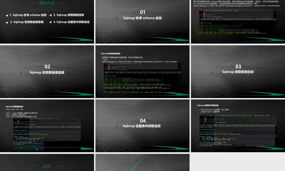 第十八节 Sqlmap枚举信息2-01.pptx