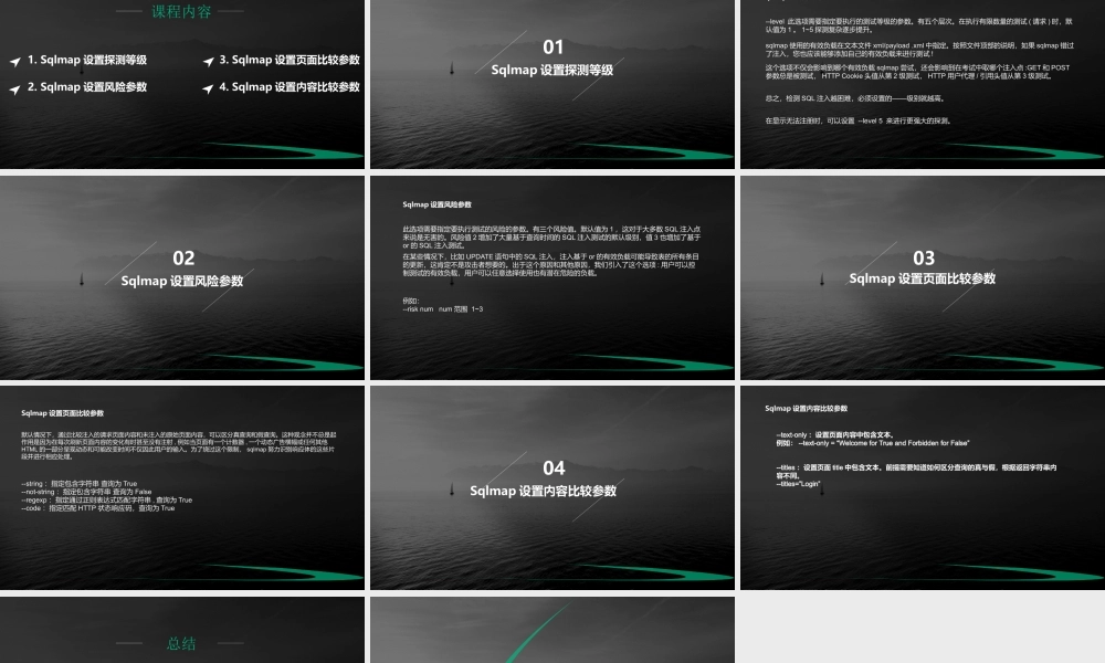 第十二节 Sqlmap自定义检测参数-01.pptx
