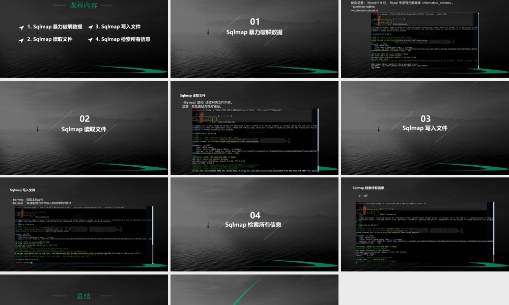 第十九节 Sqlmap枚举信息3-01.pptx