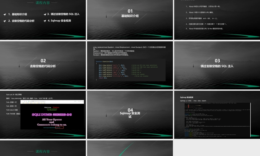 第十七节 绕过剔除空格的SQL注入-01.pptx