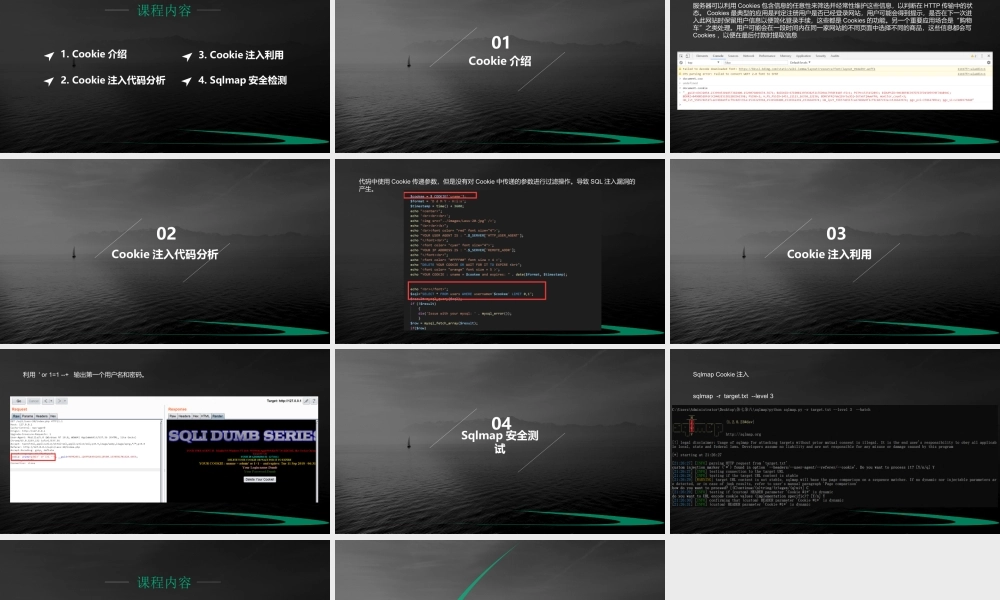 第十六节 Cookie注入-01.pptx