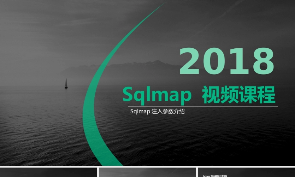 第十一节 Sqlmap注入参数2-01.pptx