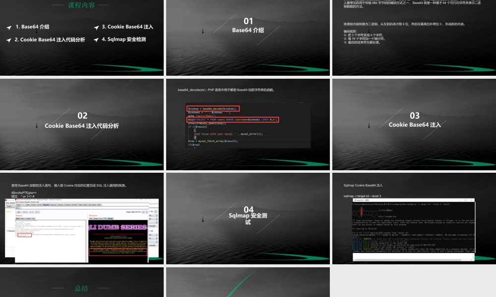 第十七节 Cookie Base64注入 -01.pptx