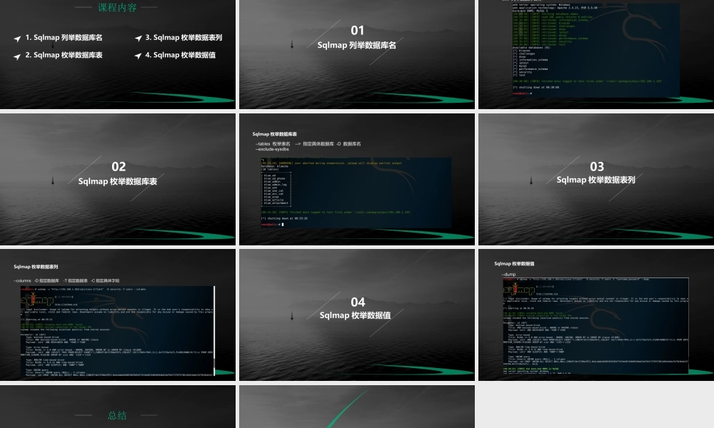 第十七节 Sqlmap枚举信息-01.pptx