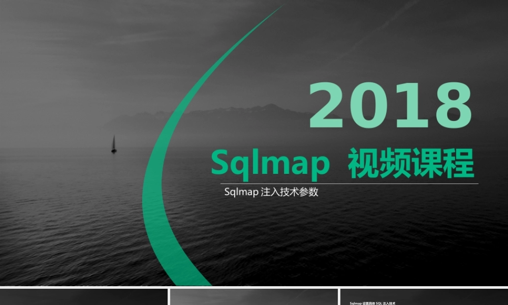 第十三节 Sqlmap注入技术参数1-01.pptx