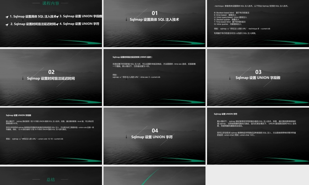 第十三节 Sqlmap注入技术参数1-01.pptx