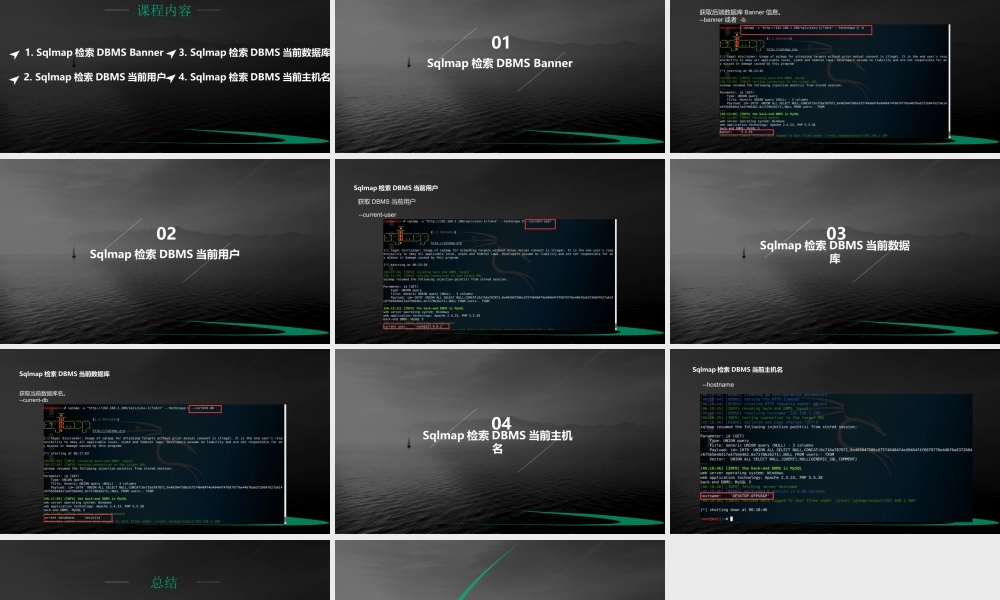 第十五节 Sqlmap检索DBMS信息-01.pptx