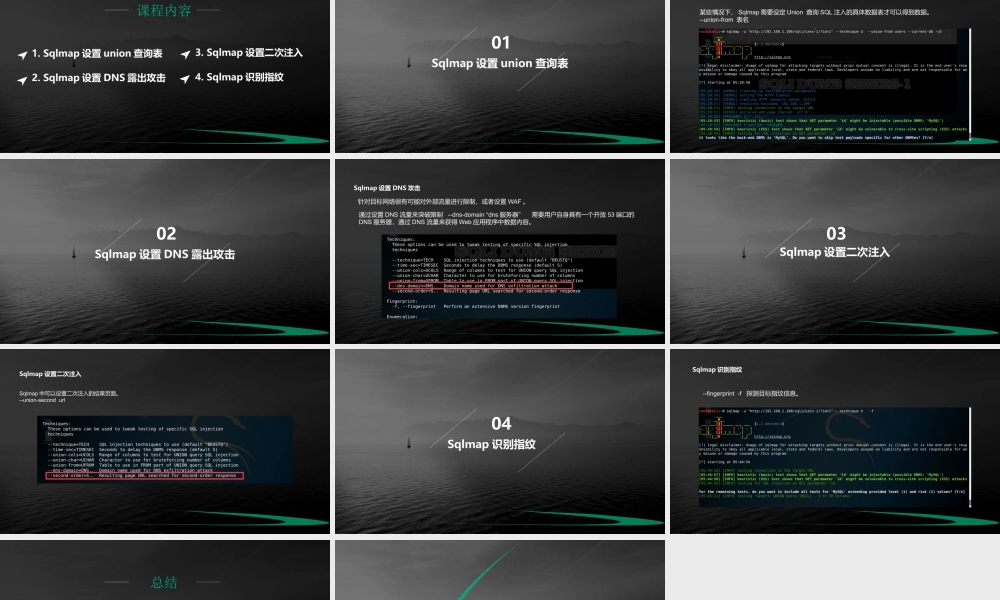 第十四节 Sqlmap注入技术参数2-01.pptx