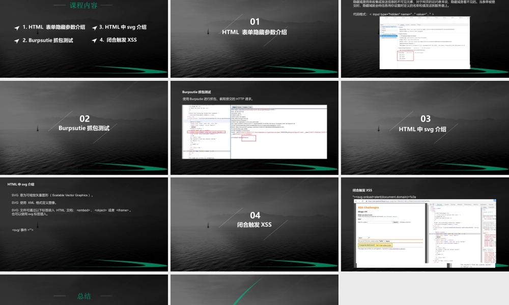 第四节 隐藏提交参数中的XSS-01.pptx