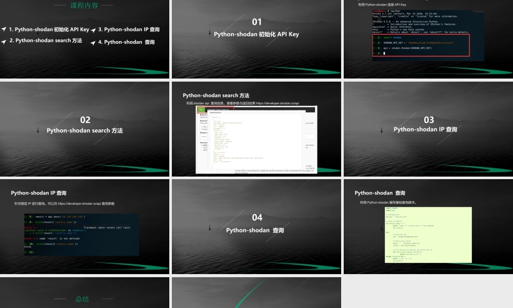 第五节 Python-shodan使用介绍-01.pptx