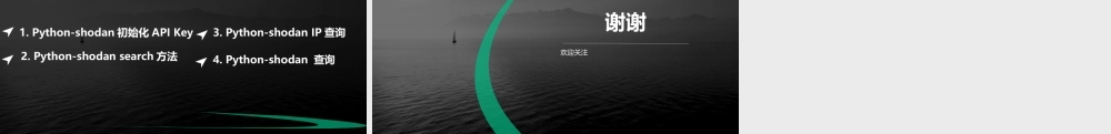 第五节 Python-shodan使用介绍-01.pptx