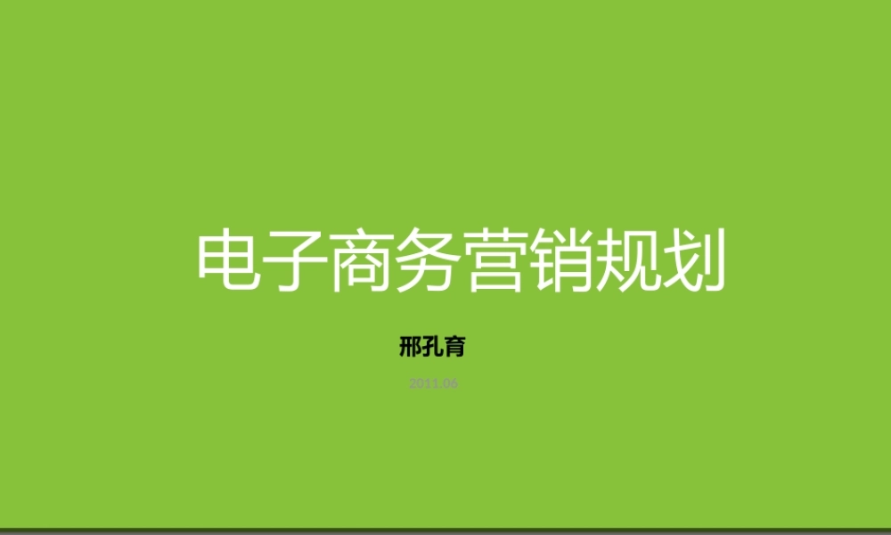 电商的营销规划02.pptx