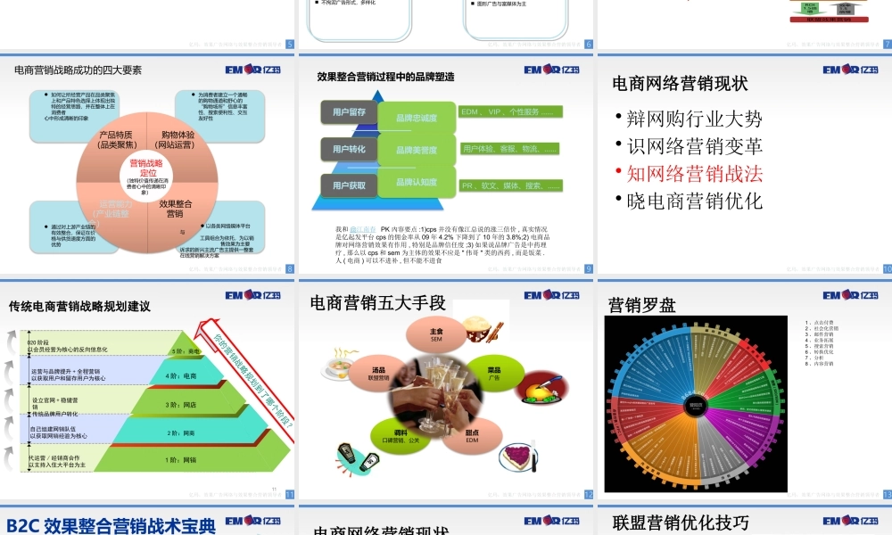 电商网络营销现状1.pptx